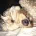 Robin Mishler Tichenor - Facebook