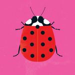 Robin Mitchell Cranfield - @robinmitchellcranfield - Instagram