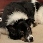 Robin Moreland - @robin.moreland.37 - Instagram