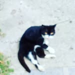 MORO - @robin_moro - Instagram
