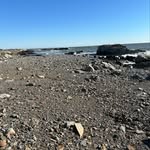 Robin Morrill - @robin.morrill - Instagram