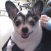 Robin Mosher - Facebook