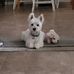 Robin Mosher - Facebook