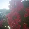 Robin.Mosley - @robinmosleyodxwzt - TikTok