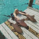 Robin Muir - @gogomims - Instagram