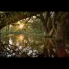 robinmunroe - @robinmunroe - TikTok