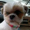 Mutherrobin - @mutherrobin - TikTok