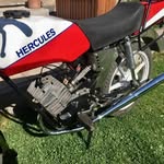 Robin Muth - @muthrobin - Instagram
