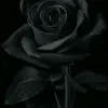 Robin - @robin_muthu - TikTok