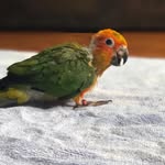 Robin.Muthu - @robin.muthu - Instagram