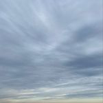 Robin Neale Rickmers - @nealerickmers - Instagram
