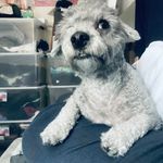 Robin Needham - @precious82721 - Instagram