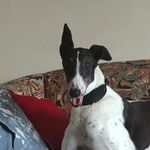 Robin Neil J Cattani - @rob1969in - Instagram