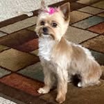 Robin Nelms Kieber - @robinskieber - Instagram