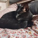 Robin Neumann - @robin10465 - Instagram