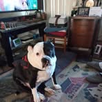 Robin Neville Eckstein - Facebook
