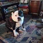 Robin Neville Eckstein - @robinnevilleeckstein - Instagram
