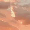 Aspyn_brock123 - @robinnevins10 - TikTok
