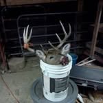 Rob Nevins - @robnfirecat700 - Instagram