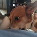 Robin Nevins - Facebook