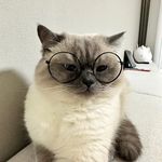 Robin - @robinngo_ - Instagram