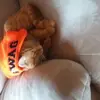 robin nyberg - @robin_yolo.07.19.09 - TikTok