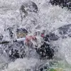 Robin Oakley - @robin.oakley1 - TikTok