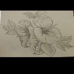Robin Oaks - @reubenoaks - Instagram