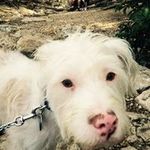 Robin Okeefe - @robinokeefe - Instagram