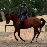 Robyn Oram-Thomson - @oramthomson - Instagram