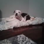 ELIZIBETH Robin Overstreet - @elizibethrobin - Instagram