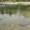 Robin Palin - @robin.palin - TikTok