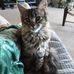 Robin Pannell - Facebook