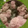 Robin_Pape23 - @robin_pape23 - TikTok