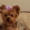 robinparmer859 - @robinparmer859 - TikTok