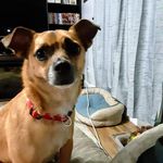 Robin Parrott - @robin.parrott.58 - Instagram