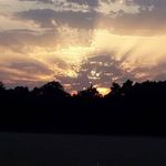 Robin Passmore - @robin.passmore.9081james_have_ - Instagram
