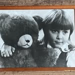 Robin’s Patch - @robins_patch - Instagram