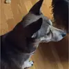 Robin Pate - @robin.pate - TikTok