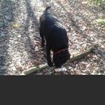 Robin Paterson - @robinpaterson74 - Instagram