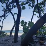 Robin Payton - @floridacouple1 - Instagram