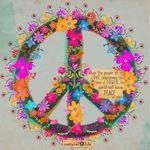 Peace Robin - @robin_peace_and_kindness - Instagram