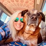 Reiki with Robin-Peace Love & Pets ✨ - @reikiwithrobin - Instagram