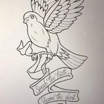 robin - @robinpeace - Instagram