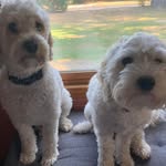 Robin Peak - @rspe6990 - Instagram