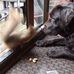Robin Peckham - Facebook