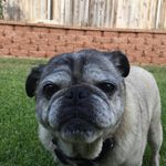 Jerry-Robin Pendleton - @jerryrobinpendleton - Instagram