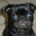 Robin Perron - Facebook