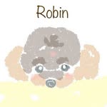 Robin - @petit_robin - Instagram