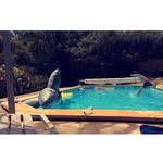 Robin - @robin_petit_artiste - Instagram